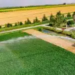 Irrigation