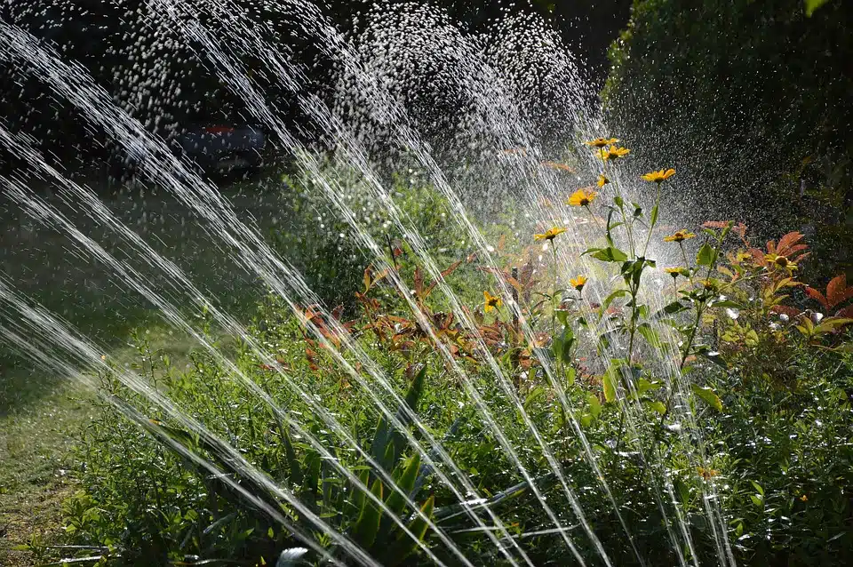 Irrigation