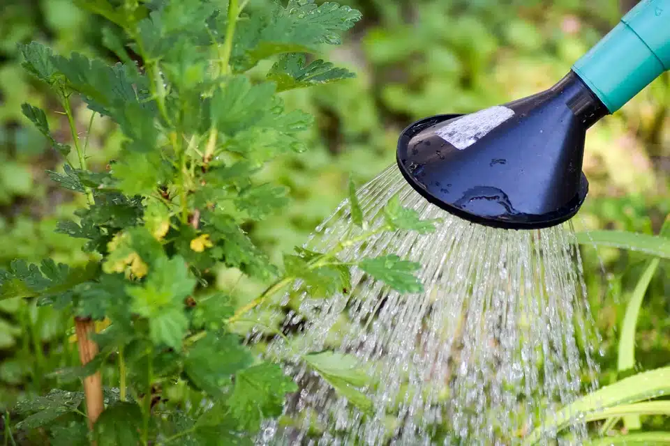 Irrigation