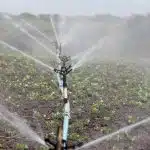 Irrigation