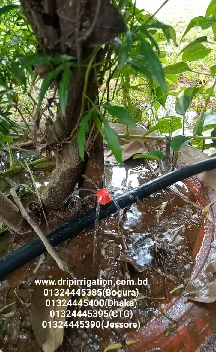 ১০০ টি গাছের ড্রিপ ইরিগেশন 2 WhatsApp Image 2023 12 13 at 1.19.25 PM 1