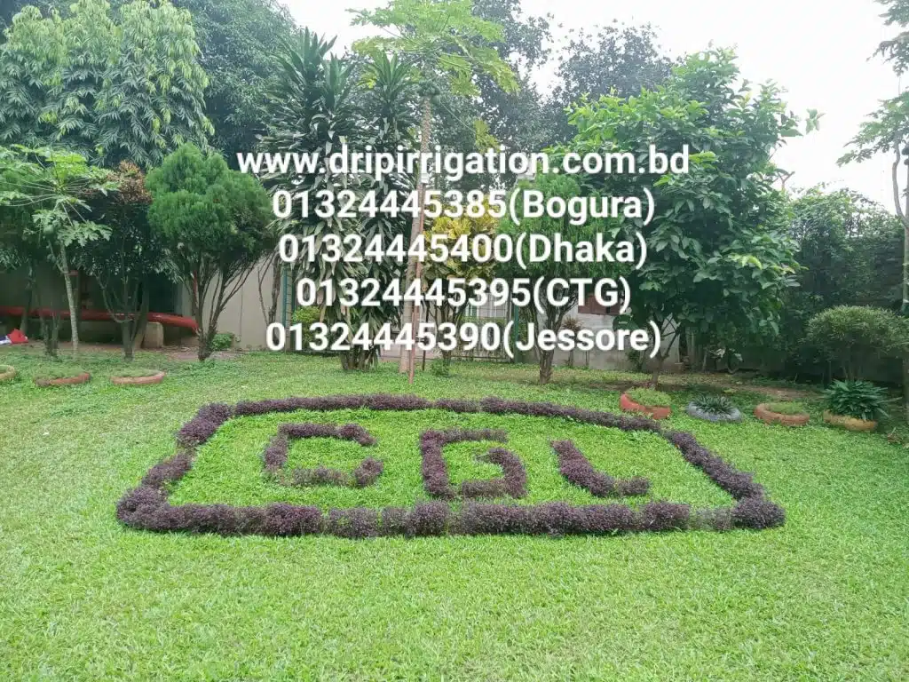 ১০০ টি গাছের ড্রিপ ইরিগেশন 7 WhatsApp Image 2023 12 13 at 1.19.26 PM large