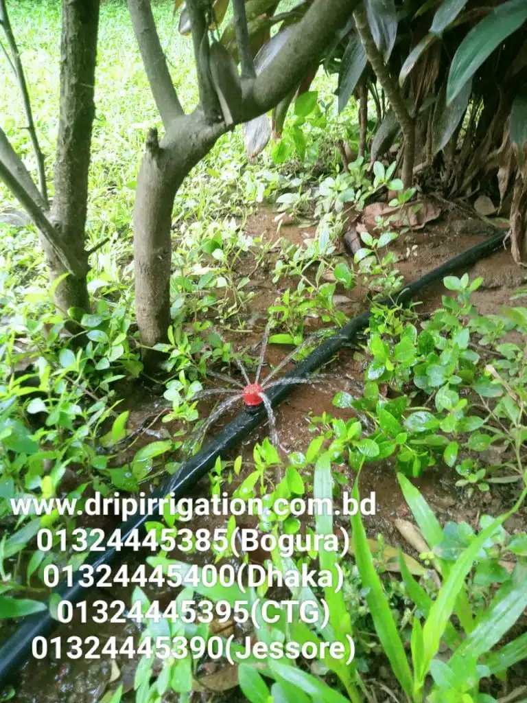 ১০০ টি গাছের ড্রিপ ইরিগেশন 4 WhatsApp Image 2023 12 13 at 1.19.27 PM 2 1 large