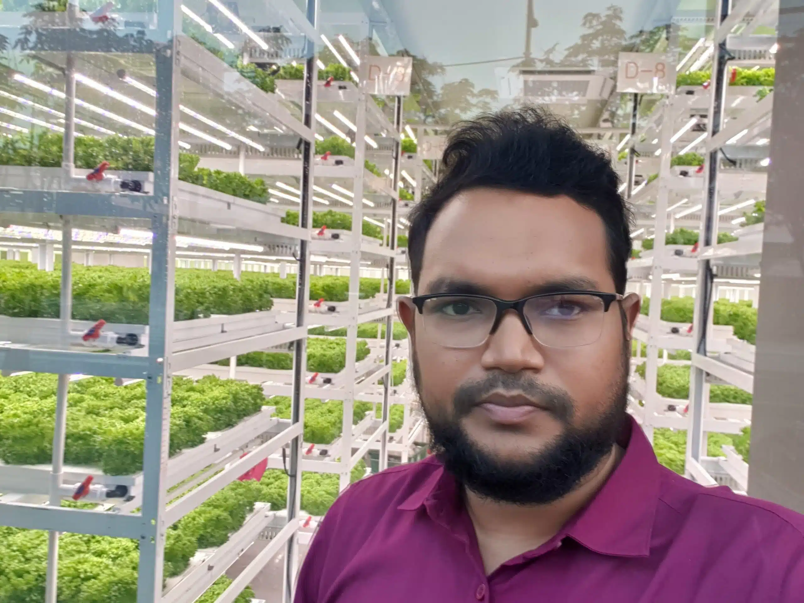 Hydroponics scaled