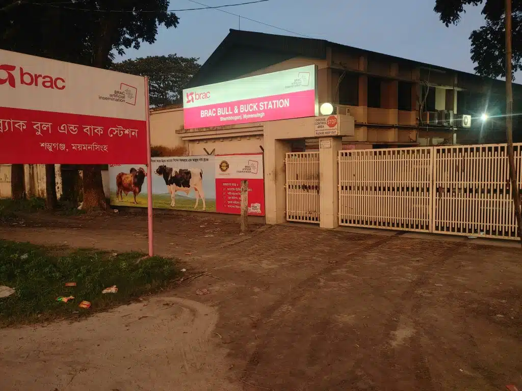 ফগিং ইনস্টলেশন 2 0716241859a HDR 2