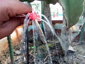 Drip Irrigation BD Ltd. (DIBL) place picture