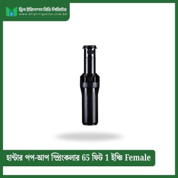 Hunter Pop-up Sprinkler 65 feet 1 inch Female