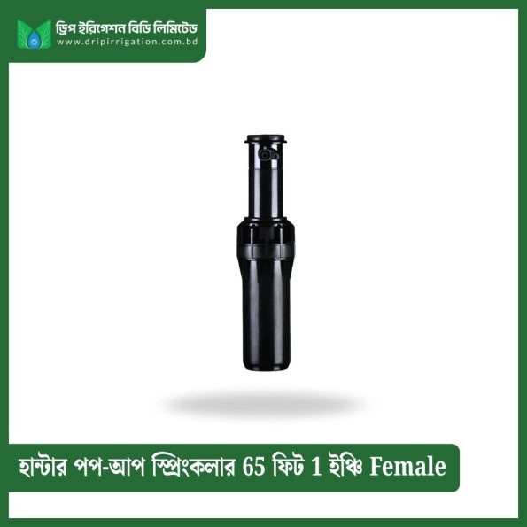 Hunter Pop-up Sprinkler 65 feet 1 inch Female