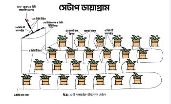 25 Plants Drip Irrigation Package -Special offer