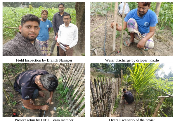 Boosting Vegetable Yields in Rural Bangladesh DIBL's Efficient Drip Irrigation Project