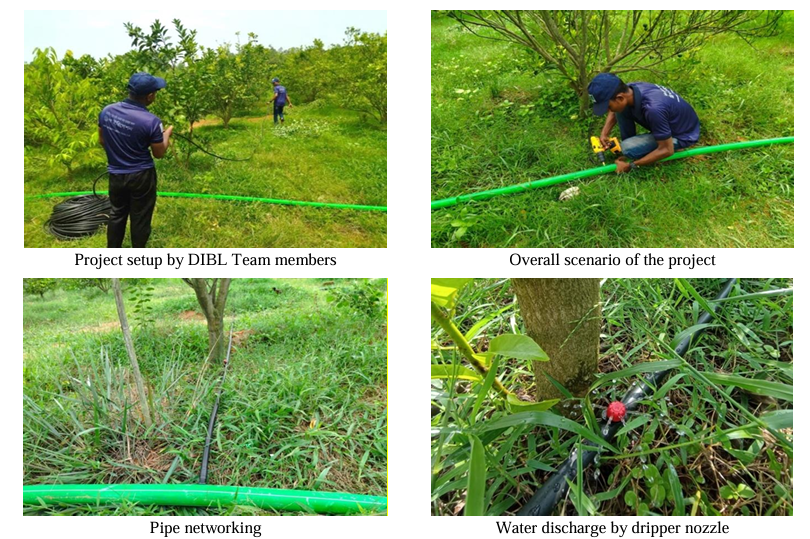 Revolutionize Your Farm Easy Drip Irrigation Setup in Bangladesh