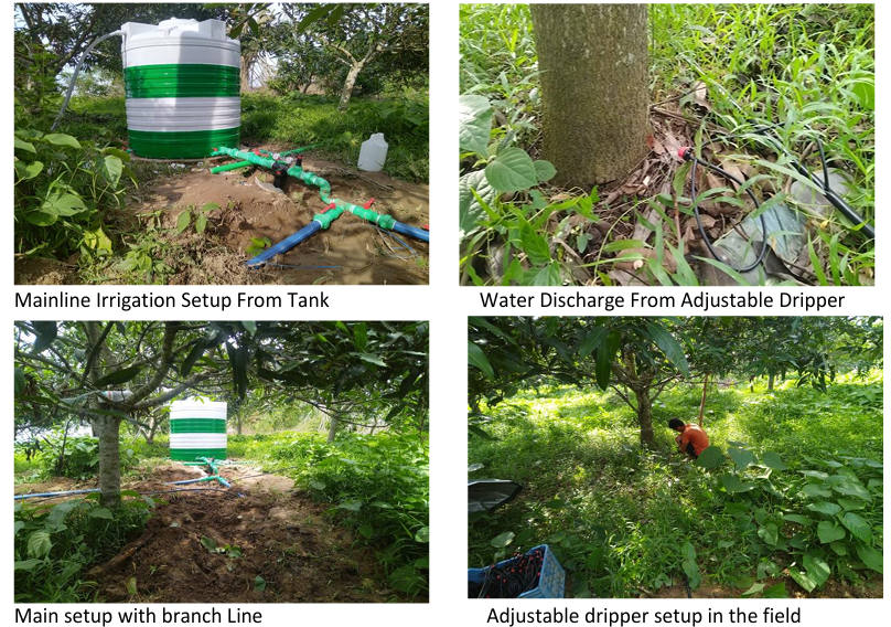 Revolutionize-Your-Farm-Efficient-Drip-Irrigation-Setup-in-Bangladesh-with-DIBL.png
