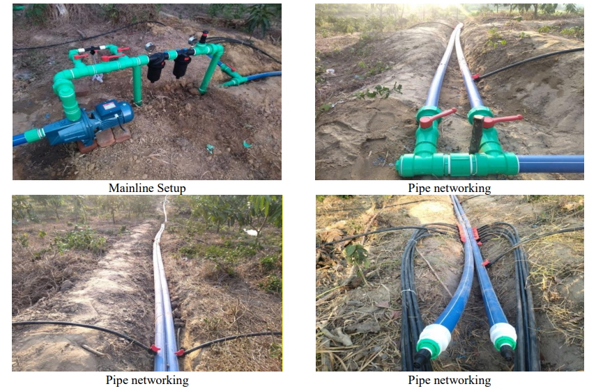 Revolutionize Your Farm with Easy-Setup Pipe Networking A DIBL Project in Bangladesh