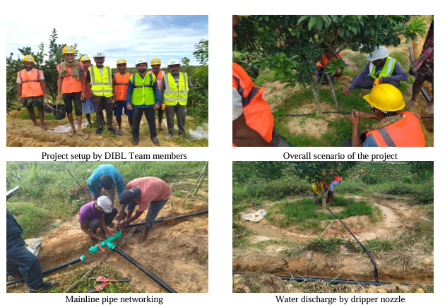 Revolutionizing Agriculture DIBL's Innovative Drip Irrigation Project in Action