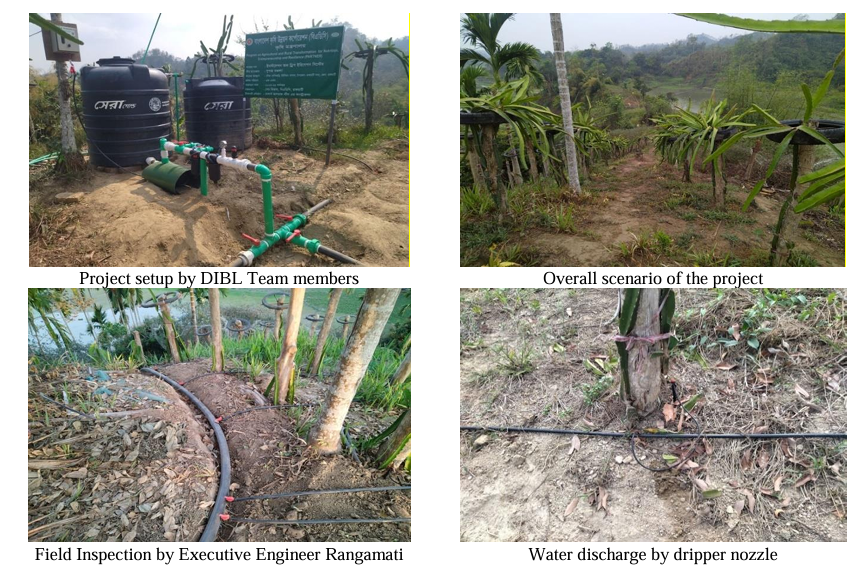 Revolutionizing Agriculture in Rangamati DIBL's Drip Irrigation Project Takes Root