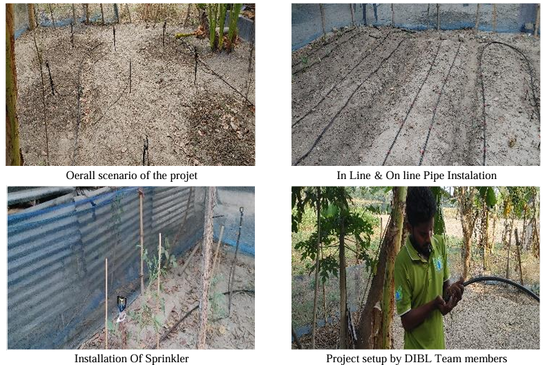 Revolutionizing Barisal's Agriculture DIBL's Sprinkler System Project
