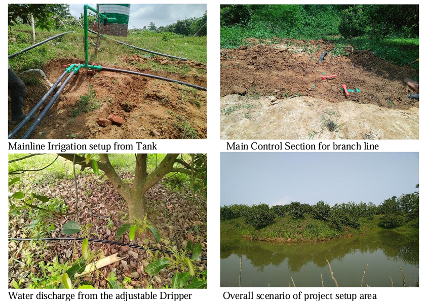 Revolutionizing Farming in Bangladesh A Glimpse into Our Latest Drip Irrigation Project