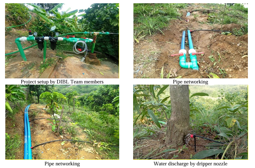 Revolutionizing Farming in [Specific Location - e.g., Rangamati] with Drip Irrigation A DIBL Project Success