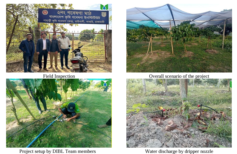 Revolutionizing Hill Agriculture DIBL's Innovative Drip Irrigation Project in Rangamati