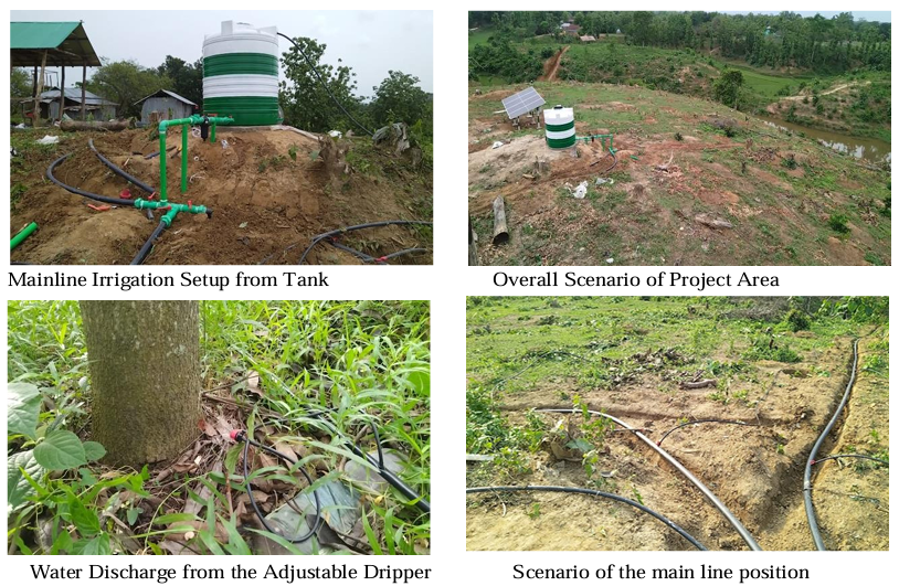 Revolutionizing Hillside Farming in Rangamati Drip Irrigation Success Story