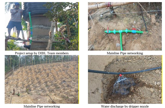 Revolutionizing Irrigation in Bangladesh DIBL's Innovative Drip System in Action