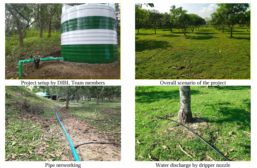 Revolutionizing Mango Orchards DIBL's Innovative Drip Irrigation Project in Gazipur