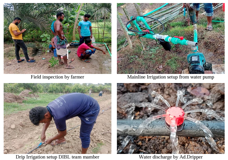 From Field to Future: Witnessing Drip Irrigation Installation in Rural Bangladesh