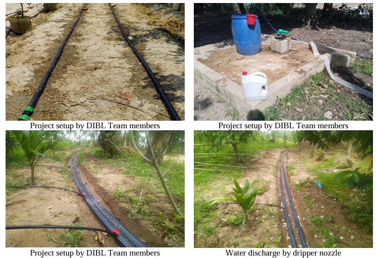 From Seedling to Success Nurturing Young Plants with Precision Drip Irrigation