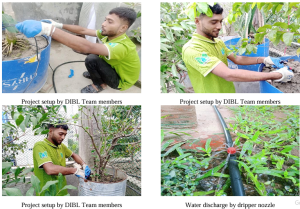 Green Thumbs Rejoice DIBL Brings Efficient Drip Irrigation to Container Gardening in Bangladesh