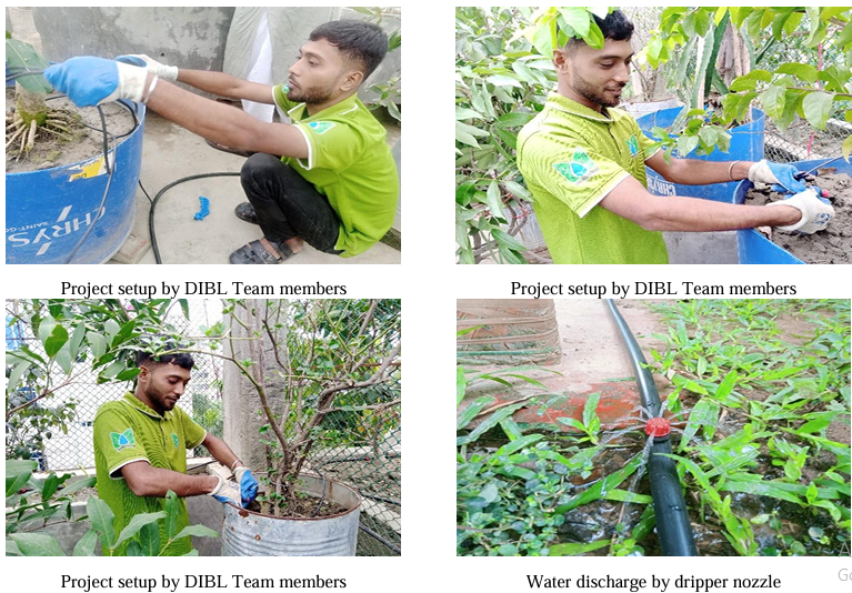Green Thumbs Rejoice DIBL Brings Efficient Drip Irrigation to Container Gardening in Bangladesh