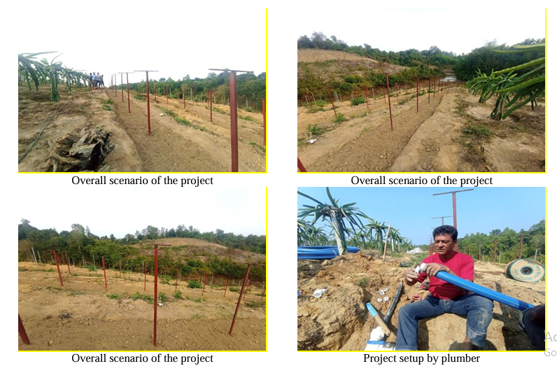Laying the Groundwork for Efficient Farming Drip Irrigation Takes Shape