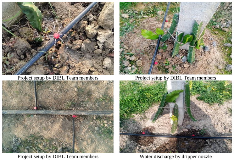 Precision Watering for Thriving Dragon Fruit A DIBL Initiative