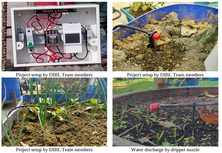 Revolutionizing Onion Farming Witness the Power of Modern Irrigation by DIBL