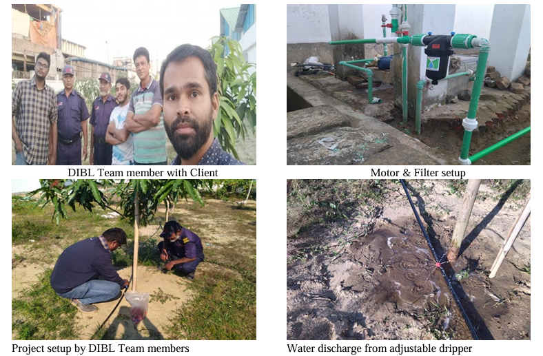 Thirsty Mangoes No More Witnessing the Impact of Drip Irrigation in a Bangladeshi Orchard
