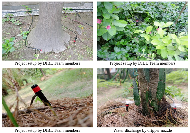 Tiny Emitters, Mighty Impact Witnessing Drip Irrigation Nurturing Every Plant