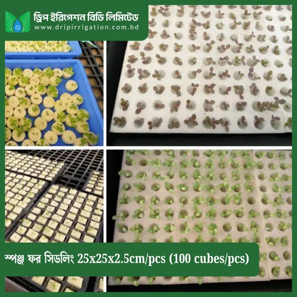 Sponge  for seedling 25x25x2 .5cm/pc s (100 cubes/pcs) - Image 2
