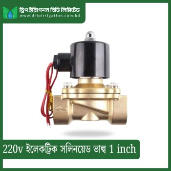 220v Electric  Solenoid Valve 1 inch