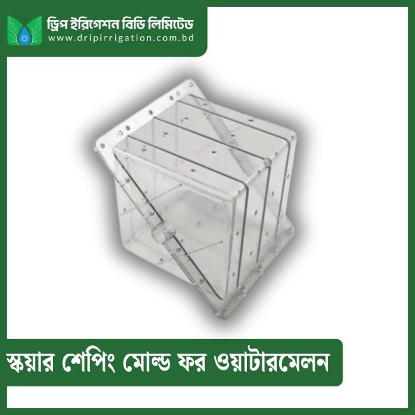 Square  shaping mold for watermelon