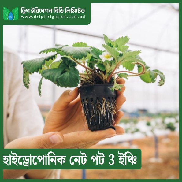 DIBL Hydroponic Net Pot 3 inch - Image 2