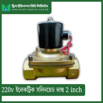 220v Electric  Solenoid Valve 2 inch