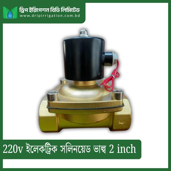 220v Electric  Solenoid Valve 2 inch