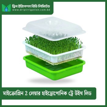 Microgreen  2 layer hydroponic tray with lid