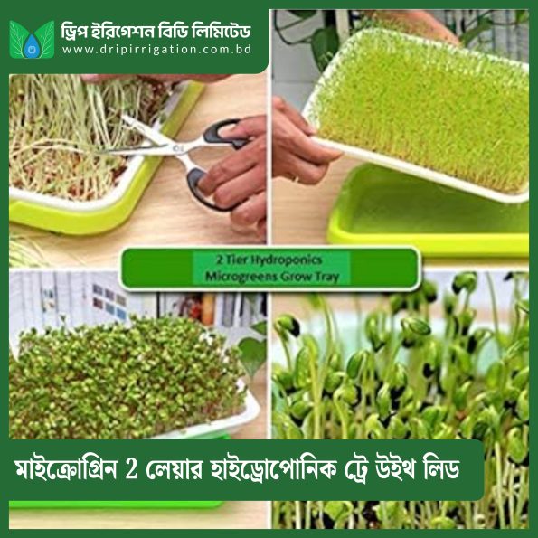 Microgreen  2 layer hydroponic tray with lid - Image 2