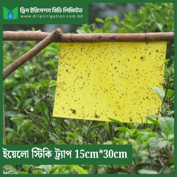 Yellow  Sticky Trap 15cm*30cm - Image 2