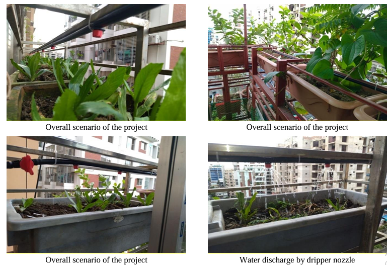 Balcony Greens Transforming Urban Spaces with Drip Irrigation BD Ltd.'s Innovative Solutions
