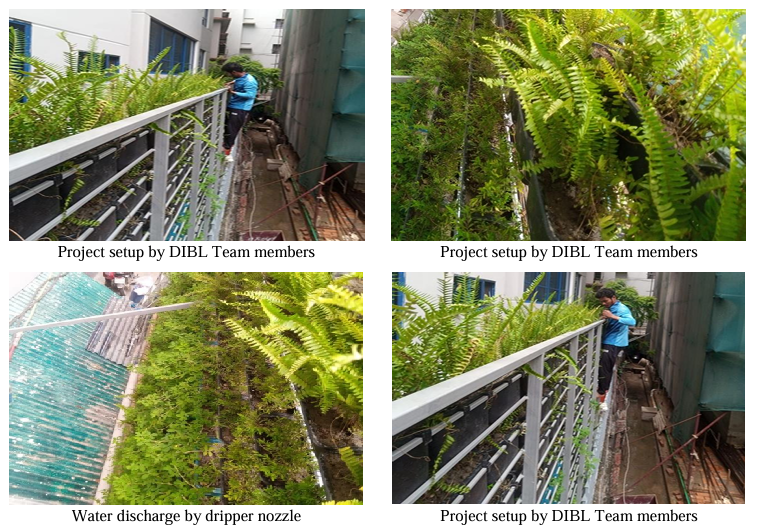 Beyond Concrete DIBL's Vertical Greening Transforms Urban Spaces with Smart Irrigation