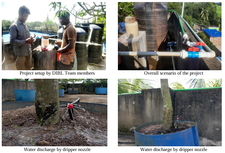DIBL's Innovative Drip Irrigation Project Redefines Agricultural Efficiency