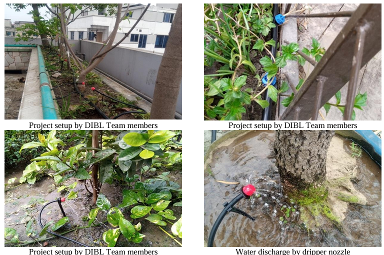 Efficient Urban Greenery DIBL's Drip Irrigation Solution for Your Home