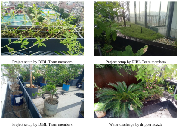 Greening Dhaka's Skylines How DIBL's Drip Irrigation Transforms Rooftop Gardens