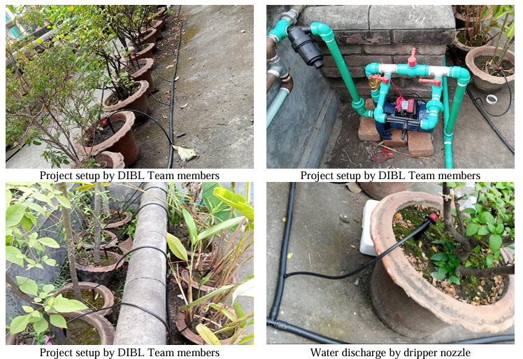 Revolutionizing Urban Gardening DIBL's Drip Irrigation Solution for Potted Plants